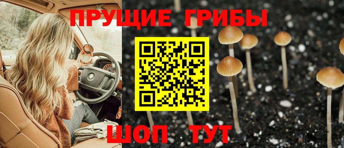 Галлюциногенные грибы Cubensis  Псилоцибиновые грибы Magic Shrooms  Вход с VPN  Ейск 
